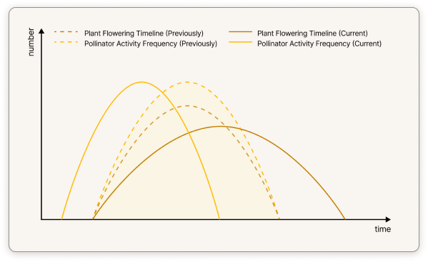 Flowering and bee activity curve diagram